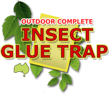Outdoor Complete Insect Glue Traps